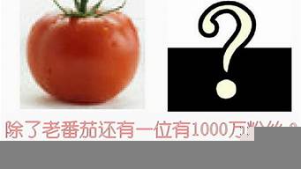 有1000萬(wàn)粉絲有什么用（有1000萬(wàn)粉絲是什么概念）