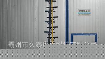 掛梯子加速器（掛梯子加速器免費）