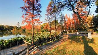 森林公園景觀設計公司（森林公園景觀設計公司有哪些）