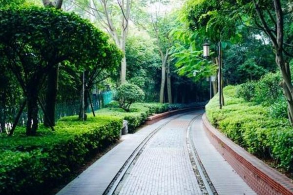 鷹潭路南側(cè)公園景觀設(shè)計