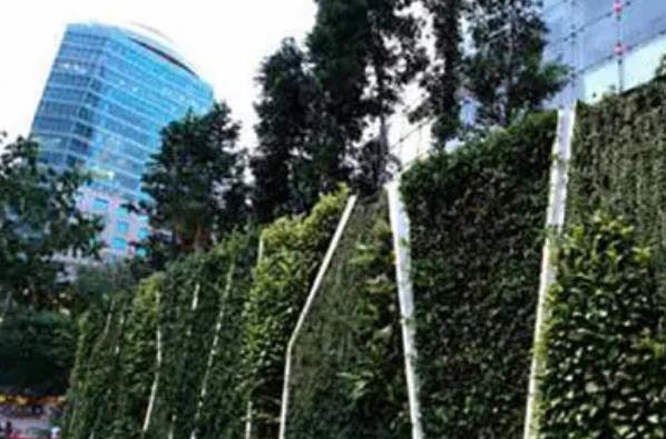 云朵花園景觀設(shè)計(jì)說(shuō)明（云朵花園景觀設(shè)計(jì)說(shuō)明書(shū)）