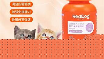 狗鈣排行榜（狗鈣什么牌子好）
