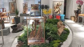 室內植物微景觀設計圖片（室內植物造景效果圖）