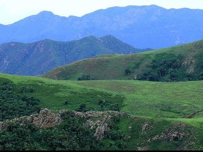 大青山綠色景觀設(shè)計(jì)（大青山綠色景觀設(shè)計(jì)圖）