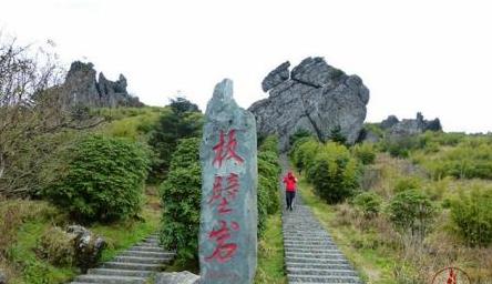 湖北神農(nóng)架花園景觀設(shè)計(jì)（湖北神農(nóng)架花園景觀設(shè)計(jì)師是誰(shuí)）