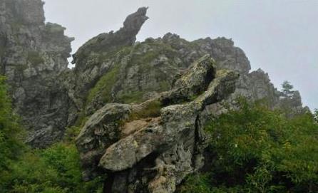 湖北神農(nóng)架花園景觀設(shè)計(jì)（湖北神農(nóng)架花園景觀設(shè)計(jì)師是誰(shuí)）