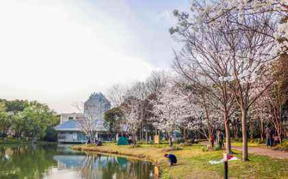 上海公園生態(tài)景觀設計案例（上海公園設計規(guī)范）