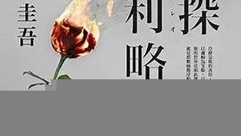 東野圭吾排行榜（東野圭吾排名前十的小說(shuō)）