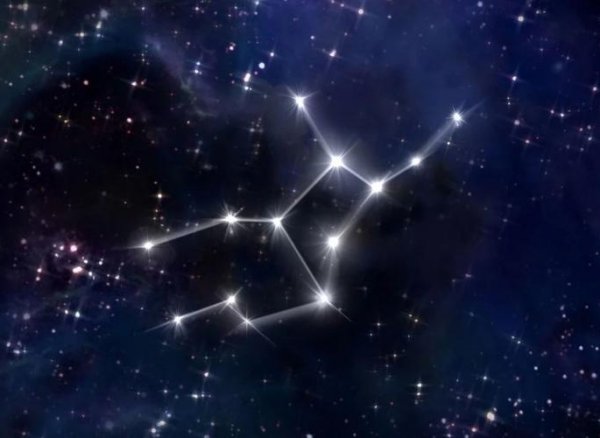 十二星座孤獨(dú)排行榜（十二星座孤獨(dú)排行榜最新）