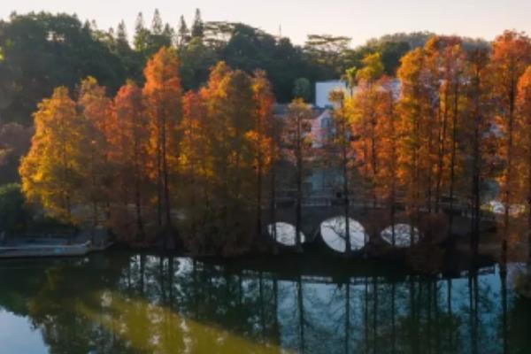 廣州文化主題公園景觀設(shè)計(jì)（廣州文化主題公園景觀設(shè)計(jì)方案）