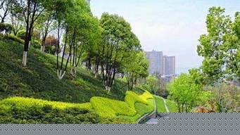 重慶植被垂直綠化景觀設(shè)計(jì)（重慶植被垂直綠化景觀設(shè)計(jì)公司）
