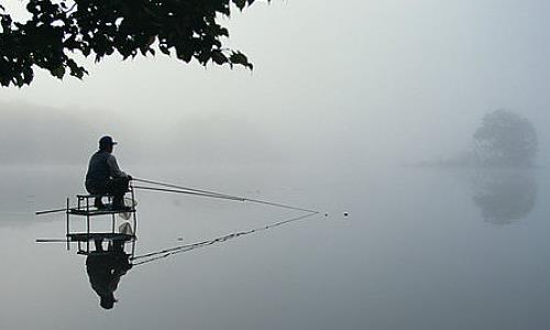 鯽魚(yú)竿排行榜（鯽魚(yú)竿十大排名）