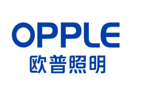 國內(nèi)燈飾品牌排行榜（國內(nèi)燈飾品牌排行榜最新）