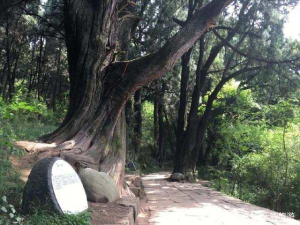 園林景觀設(shè)計廣元哪里有（廣元園林綠化）