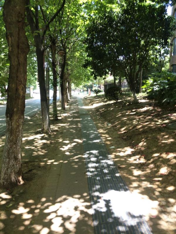 青浦區(qū)私人花園景觀設(shè)計(jì)（青浦區(qū)私人花園景觀設(shè)計(jì)招聘）