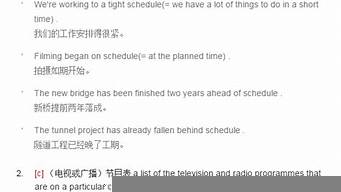 schedule用法及例句（schedule的用法及短語(yǔ)）