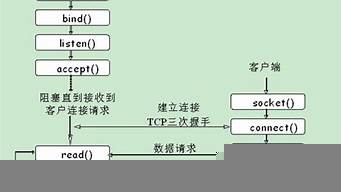 TCP功能（TCP功能）