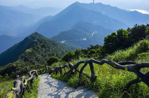 深圳公園景觀設(shè)計費(fèi)用（深圳公園景觀設(shè)計費(fèi)用多少）