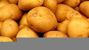 potato軟件最新版本（potato軟件最新版本蘋(píng)果）