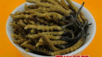 中老年補品排行榜（適合50歲爸媽的營養(yǎng)品）