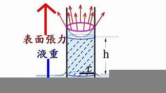 毛細現象的4個例子