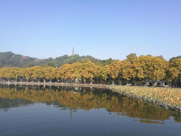 杭州旅游景點門票價格（杭州旅游景點門票價格一覽）