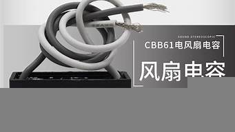 電容品牌排行榜（國產(chǎn)電容廠家排名）