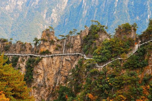 杭州有哪些歷史文化街區(qū)（杭州有哪些歷史文化街區(qū)景點(diǎn)）