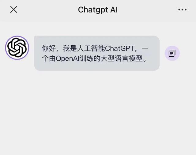 ChatGPT爆火，國內(nèi)仿制服務(wù)涌現(xiàn)，有套餐標(biāo)價9999元